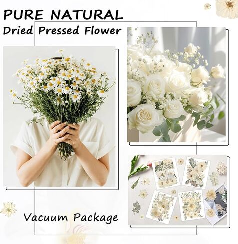 Yuboo 98pcs أبيض مجفف الزهور المجففة للحرف اليدوية ، والهدايا ليوم الأم ، وأوراق الأزهار المضغوطة مع الملقط ، والزهور المجففة الطبيعية لقوالب الراتنجات DIY قصاصات الكتب شمعة in Kuwait