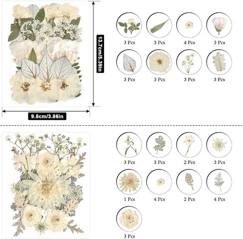 Yuboo 98pcs أبيض مجفف الزهور المجففة للحرف اليدوية ، والهدايا ليوم الأم ، وأوراق الأزهار المضغوطة مع الملقط ، والزهور المجففة الطبيعية لقوالب الراتنجات DIY قصاصات الكتب شمعة in Kuwait
