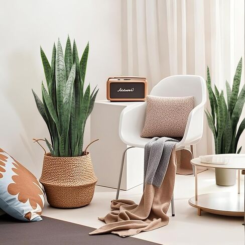 Solution4patio 2pcs Sansevieria trifasciata prain 3 أقدام. Arbre Artificiel ، مصنع ثعبان ثعبان استوائي واقعية لغرفة المعيشة أو المنزل أو المقهى أو الزاوية المكتبية الداخلية في الهواء الطلق in Kuwait
