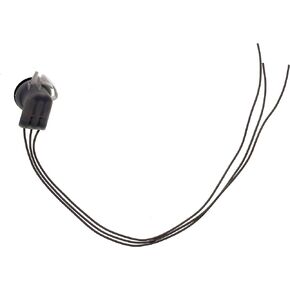 Dorman 645-907 Front Park and Turn Signal Socket Compatible with Select Chevrolet/Oldsmobile/Pontiac Models