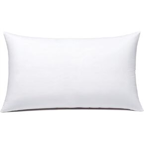 Throw Pillow Inserts Hypoallergenic Premium Pillow Stuffer Square Form for Decorative Pillow Covers Cushion Set of 1-18 x 18 Inches