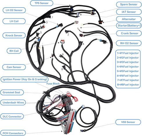 تم تحديث T56 DBC مجموعة أسلاك المحرك المستقلة، متوافقة مع T56 TH400 TH350 700R4 200-4R، لـ DBC LS1 Standalone Harness 4.8 5.3 6.0 1997-2006 القيادة بواسطة كابل EV1 حاقن الوقود in Kuwait
