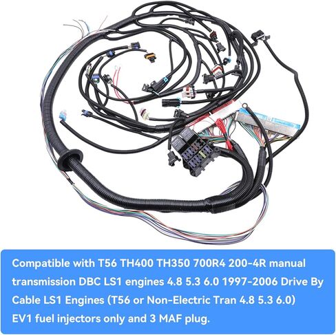 تم تحديث T56 DBC مجموعة أسلاك المحرك المستقلة، متوافقة مع T56 TH400 TH350 700R4 200-4R، لـ DBC LS1 Standalone Harness 4.8 5.3 6.0 1997-2006 القيادة بواسطة كابل EV1 حاقن الوقود in Kuwait