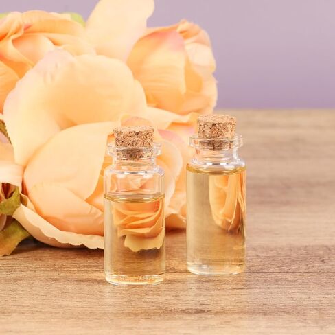 10 ml Mini Glass Vials with Cork, 24 Pack with Twine & Extra Cork Stoppers, Tiny Spell Jars, Mini Potion Bottles for Theme Party in Kuwait