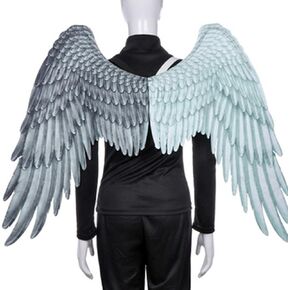 Ochine Angel Wings Wings Costume Halloween Party Cosplay Cosplay Assoply Black White Feather Wing للرجال نساء