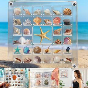 Acrylic Magnetic Seashell Display Box, 5.9 x 5.9 In Transparent Seashell Display Case, 33 Grids Shell Collecting Box, Fiberglass Seashell Display Case for Jewelry, Diamond, Nail, Bead, Stones