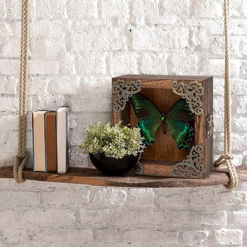 Taxidermy Butterfly Shadow Box Picture Frame - Real Butterfly Framed Meticulously Handcrafted, Framed Butterfly Taxidermy Gothic Room Decor (Green-Banded Queen Butterfly (Family Papilionidae)) in Kuwait