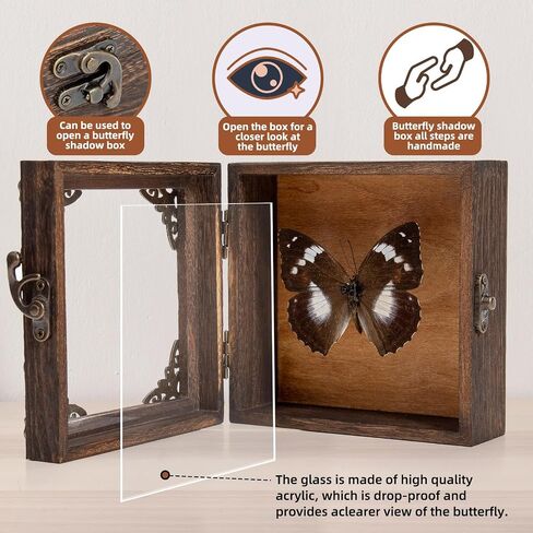 Taxidermy Butterfly Shadow Box Picture Frame - Real Butterfly Framed Meticulously Handcrafted, Framed Butterfly Taxidermy Gothic Room Decor (Green-Banded Queen Butterfly (Family Papilionidae)) in Kuwait