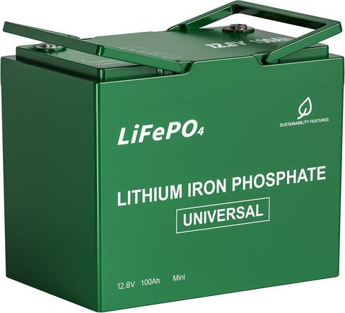 Deason 12V 100ah Mini LifePo4 Lithium Battery - 100A BMS ، عمر 10 سنوات ، ما يصل إلى 15000 دورة ، كحد أقصى. 1280WH الطاقة في الحجم الصغير ، مثالية للربح الرصاص ، الطاقة الشمسية ، محرك التصيد ، القوارب ، التجديف بالكاياك ، البحرية وما إلى ذلك. in Saudi Arabia