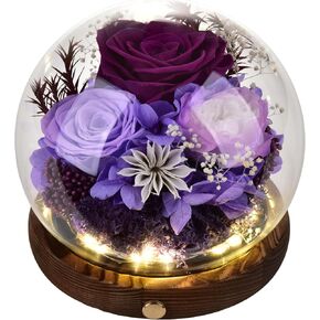 Preserved Eternal Red Real Rose Gift Box Long-Lasting Real Flowers for Women Mom Wife Girlfriend Grandma Mother's Day Anniversary Birthday