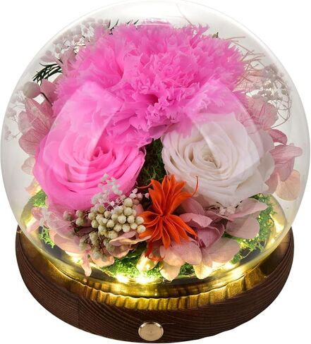 محفوظة أبدية حمراء روز هدايا صندوق زهور حقيقية طويلة للنساء أمي زوجة صديقة الجدة عيد ميلاد عيد الأم عيد ميلاد in Kuwait