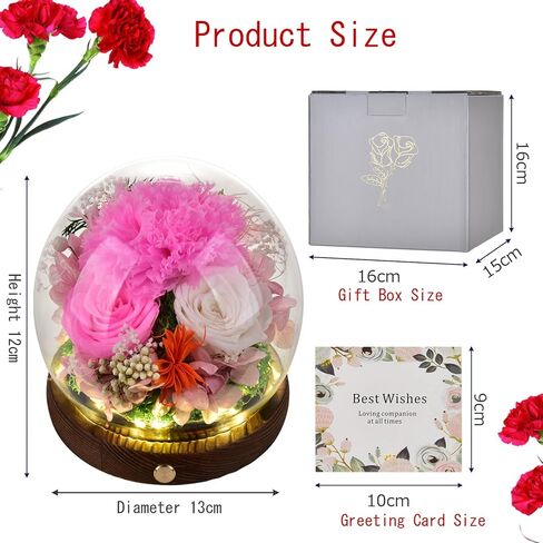محفوظة أبدية حمراء روز هدايا صندوق زهور حقيقية طويلة للنساء أمي زوجة صديقة الجدة عيد ميلاد عيد الأم عيد ميلاد in Kuwait