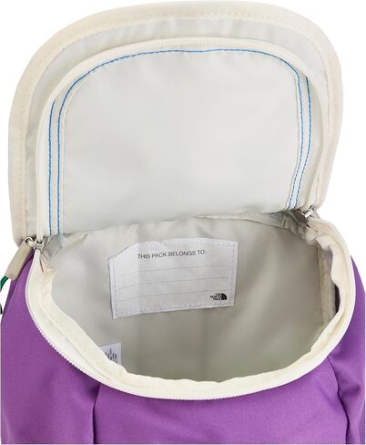 THE NORTH FACE Teen Mini Explorer Backpack, Summit Navy/Super Sonic Blue/Atomizer Blue, One Size in Saudi Arabia
