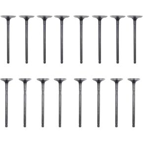 ApplianPar 16Pcs Engine Intake Valve and Exhaust Valve for Hyundai Kona Tucson Veloster Elantra Sonata Forte Seltos Soul Optima Forte5 Rondo