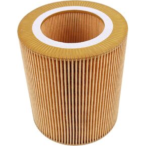 Air Filter 1613872000 1613-8720-00 C1250 Compatible for Atlas Copco GA22/30C GX15 GX18 GX22