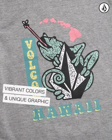 Volcom Toddler Boy Shorts Set - 2 Piece Short Sleeve Graphic Tees and Tech Stretch Shorts for Boys - Toddler Summer Clothes in Saudi Arabia