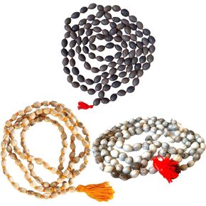 Naisha (حزمة من 3 Tulsi Japa Mala ، Kamal Gatta Mala (بذور اللوتس) و Vaijanti Mala Bead 108+1 حبات