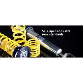 ST Suspensions 51303 Rear Anti-Sway Bar for Audi/VW