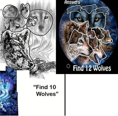 Remorelt Wolf Eagle Bear Dream Catcher Bedroom Wall Decor, Christmas Home Decoration, Room Accessory, Feather Decoration - Unique Home Craft Wall Pendant (DC01 6Inch Wolves) in Saudi Arabia