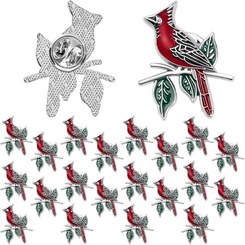 Jexine 20 PCS Memorial Cardinal Sign Sign Favors Favors Pocket Token Guardian Gifts Pocket Oil أسقطت الاحتفال الديني للحياة التذكارية هدايا التعاطف الكاردينال in Kuwait