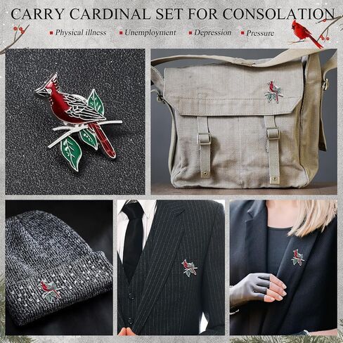 Jexine 20 PCS Memorial Cardinal Sign Sign Favors Favors Pocket Token Guardian Gifts Pocket Oil أسقطت الاحتفال الديني للحياة التذكارية هدايا التعاطف الكاردينال in Kuwait