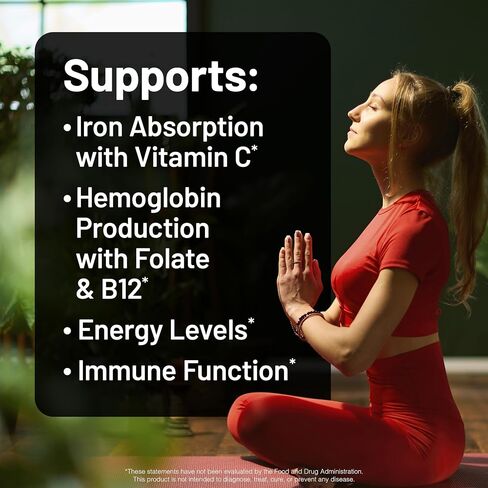 NatureWise Vegan Iron Supplement for Women & Men - Gentle on Stomach High Absorption - Coated Iron Bisglycinate Tablets + Vitamin C, Methyl B12, Folate & Organic Food Blend - 30 Tablets[30-Day Supply] in Saudi Arabia