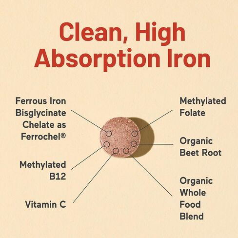 NatureWise Vegan Iron Supplement for Women & Men - Gentle on Stomach High Absorption - Coated Iron Bisglycinate Tablets + Vitamin C, Methyl B12, Folate & Organic Food Blend - 30 Tablets[30-Day Supply] in Saudi Arabia