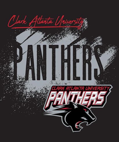Northwest NCAA Unisex-Adult Silk Touch Throw Blanket in Saudi Arabia