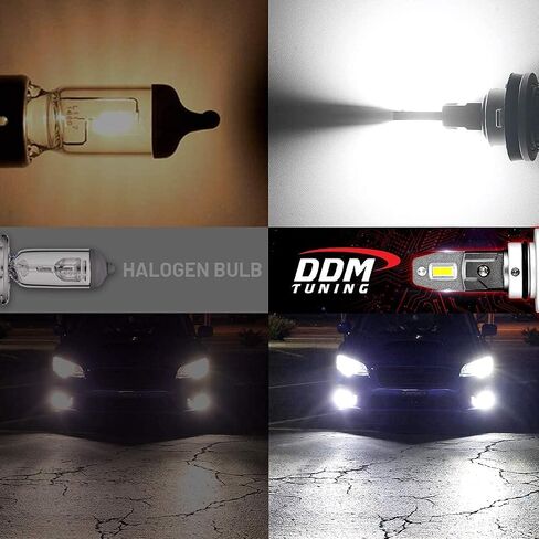 DDM Tuning Saber 55W ProX Accu/V2 LED Kit, 12500LM, 4500K, Pair,-FBA (9005/9006 / 9012 / H10) in Saudi Arabia