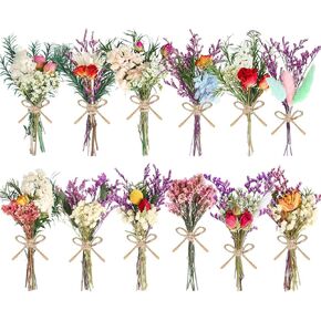12/24 Pack Dried Flowers for Vase Various Mini Bouquet Dried Small Wildflowers Natural Real Flowers Bulk for Crafts DIY Wedding Decor (12, Multicolor)
