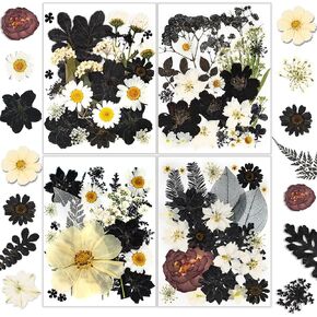 Dried Flowers for Candle Making, Winartton 80 PCS Dried Flowers for Nail Mix Color Real Pressed Flowers for Resin Craft Jewelry Scrapbook Candle Making Soap Making Makeup Nails Decor