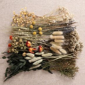 11 Kinds of Dried Flowers for Crafts Bulk DIY Natural Multi-color Dried Pampas Grass Lavender Forget Me Not Babys Breath with Stems Dry Flower Bouquets with Hemp Rope for Home Decor Floral Arrangement