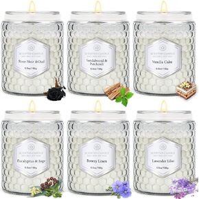Citronella Candles في الهواء الطلق داخلي كبير ، 6 عبوات 7.1 أوقية شمع الصويا 270 ساعة شموع السترونيلا طويلة الأمد مجموعات لشرفة الفناء حديقة المنزل
