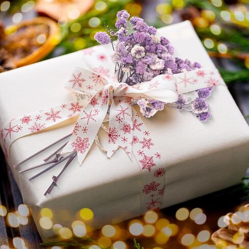 12/24 حزمة الزهور المجففة لزهرية مختلفة باقة صغيرة مجففة الزهور البرية الصغيرة الزهور الحقيقية بشكل طبيعي لديكور الزفاف DIY الحرف (12 ، متعدد الألوان) in Kuwait