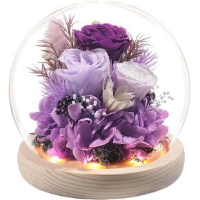Roses Gifts for Her, Flowers Delivery Prime Rose in Glass Dome with LED Light - Gifts for Mothers Women Mom Grandma Girlfriend Wife