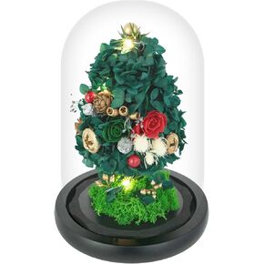 ارتفعت الزهور المحفوظة في قبة زجاجية مع الضوء - الزهور طويلة الأمد ، هدايا زهرة للنساء لأي مناسبة - ديكور المنزل ، يأتي مع صندوق هدايا سميكة - زهور زجاجية - أبيض/وردي in Kuwait