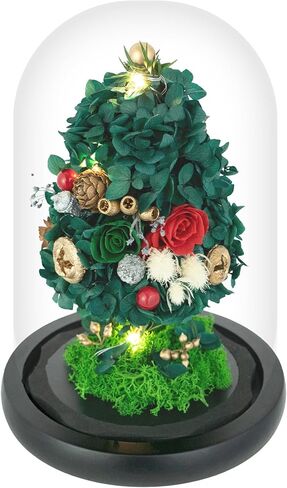 ارتفعت الزهور المحفوظة في قبة زجاجية مع الضوء - الزهور طويلة الأمد ، هدايا زهرة للنساء لأي مناسبة - ديكور المنزل ، يأتي مع صندوق هدايا سميكة - زهور زجاجية - أبيض/وردي in Kuwait