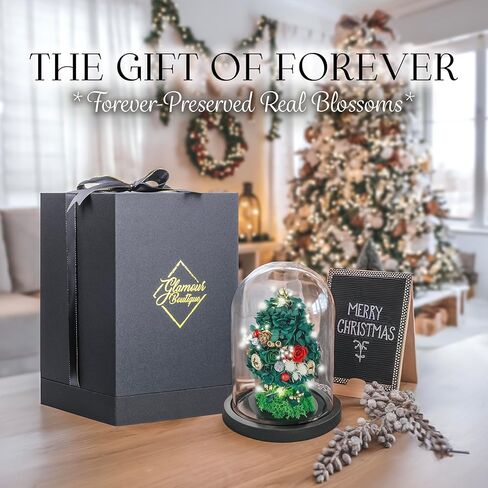 ارتفعت الزهور المحفوظة في قبة زجاجية مع الضوء - الزهور طويلة الأمد ، هدايا زهرة للنساء لأي مناسبة - ديكور المنزل ، يأتي مع صندوق هدايا سميكة - زهور زجاجية - أبيض/وردي in Kuwait