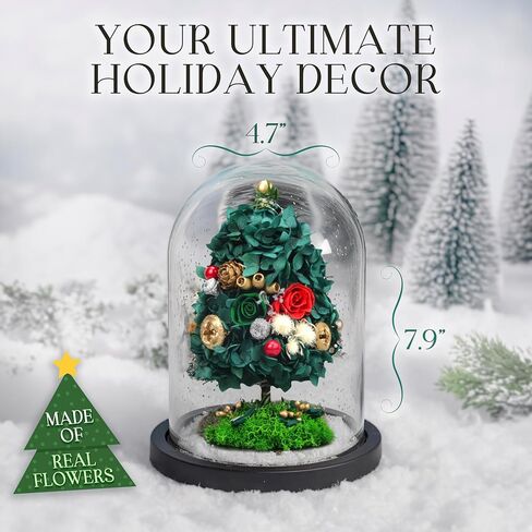 ارتفعت الزهور المحفوظة في قبة زجاجية مع الضوء - الزهور طويلة الأمد ، هدايا زهرة للنساء لأي مناسبة - ديكور المنزل ، يأتي مع صندوق هدايا سميكة - زهور زجاجية - أبيض/وردي in Kuwait