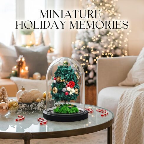 ارتفعت الزهور المحفوظة في قبة زجاجية مع الضوء - الزهور طويلة الأمد ، هدايا زهرة للنساء لأي مناسبة - ديكور المنزل ، يأتي مع صندوق هدايا سميكة - زهور زجاجية - أبيض/وردي in Kuwait