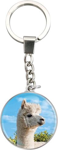 Deluxebase Magnidome Keychain from Dome Shaped Picture Key Ring with Stainless Steel Chain. Crystal Glass Dome Key Chain in Kuwait