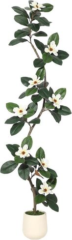 Gaomon 5ft Filddle Leaf Tree مع أزهار ماغنوليا ، نباتات فو مع وعاء زارع أبيض ، نبات أرضي فو ، شجرة مطاطية داخلية وخارجية لديكور المكتب المنزلي in Kuwait