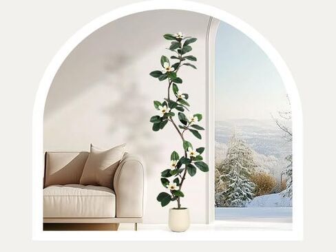 Gaomon 5ft Filddle Leaf Tree مع أزهار ماغنوليا ، نباتات فو مع وعاء زارع أبيض ، نبات أرضي فو ، شجرة مطاطية داخلية وخارجية لديكور المكتب المنزلي in Kuwait