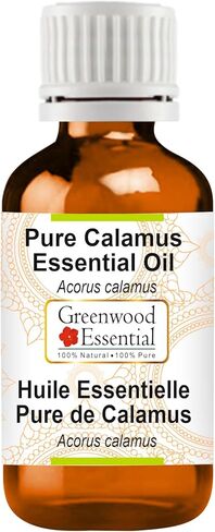 Pure Black Spruce Essential Oil (Picea Mariana) with Glass Dropper Steam Distilled 5ml (0.16 oz) in Kuwait