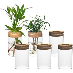 Separated Desktop Glass Flower Vases - Ideal Plants Propagation Stations for Living Room, Bedroom Decoration,Home Decor (2)
