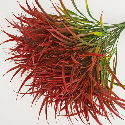 16 Bundles Artificial Plants Outdoor Fake Grass Greenery Stems UV Resistant Faux Plastic Plants Shrubs for Spring Summer Home Garden Pathway Window Box Front Porch Decor, Red in Saudi Arabia