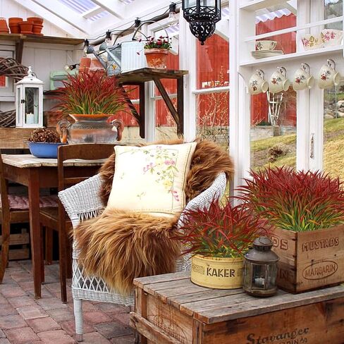 16 Bundles Artificial Plants Outdoor Fake Grass Greenery Stems UV Resistant Faux Plastic Plants Shrubs for Spring Summer Home Garden Pathway Window Box Front Porch Decor, Red in Saudi Arabia