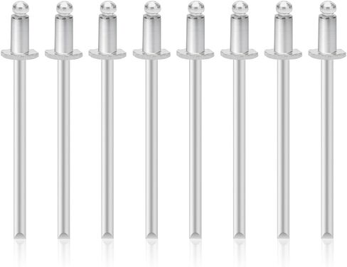 Stainless Steel Silver Rivets VIN Door Tags Fit for Chrysler GM Ford AMC Cars（Set of 8） (MD8PCS) in Saudi Arabia