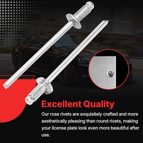 Stainless Steel Silver Rivets VIN Door Tags Fit for Chrysler GM Ford AMC Cars（Set of 8） (MD8PCS) in Saudi Arabia