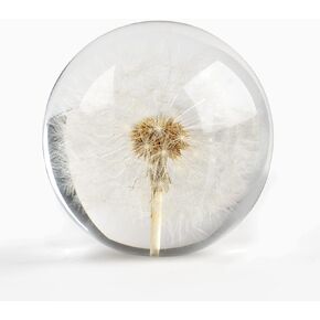 Real Dandelion Paperweight, Dandelion in Resin Ball, Home Office Decor, Real Dandelion Specimen Ball, Resin Ball and Gift Package for Anniversary Christmas Birthday Valentines Wedding Gift